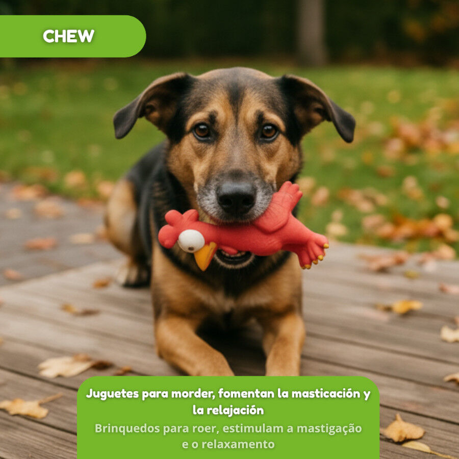 Tootoy! Mordedor con Sonido Gallina para perros thumbnail