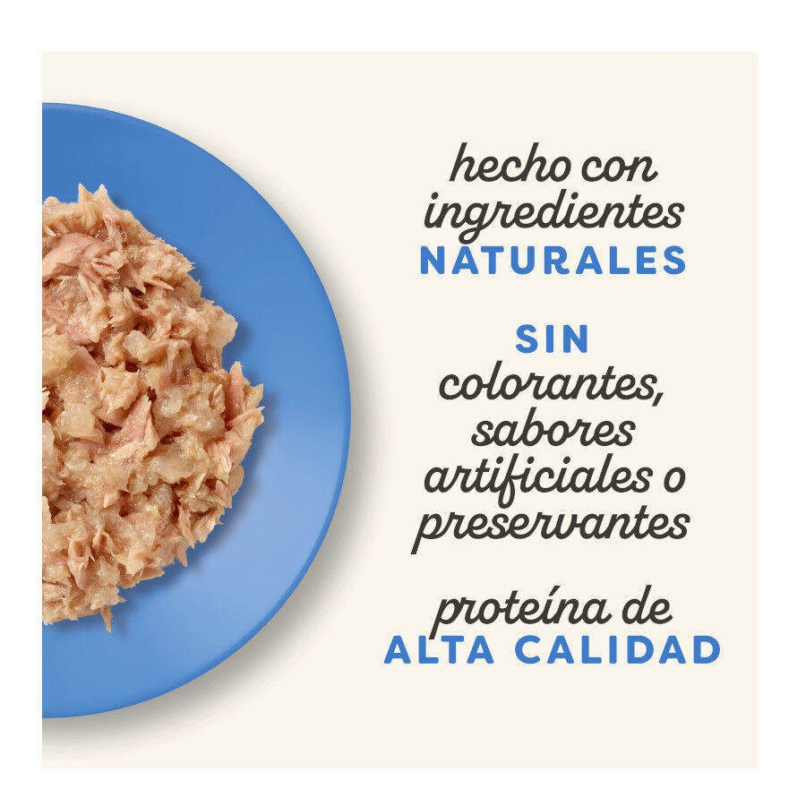 12 sobres x 70 g Applaws Selection Mix en Gelatina sobre para gatos - Multipack, , large Imagen numero 4