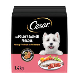 Cesar Pollo y Salmón Frescos pienso semihúmedo para perros