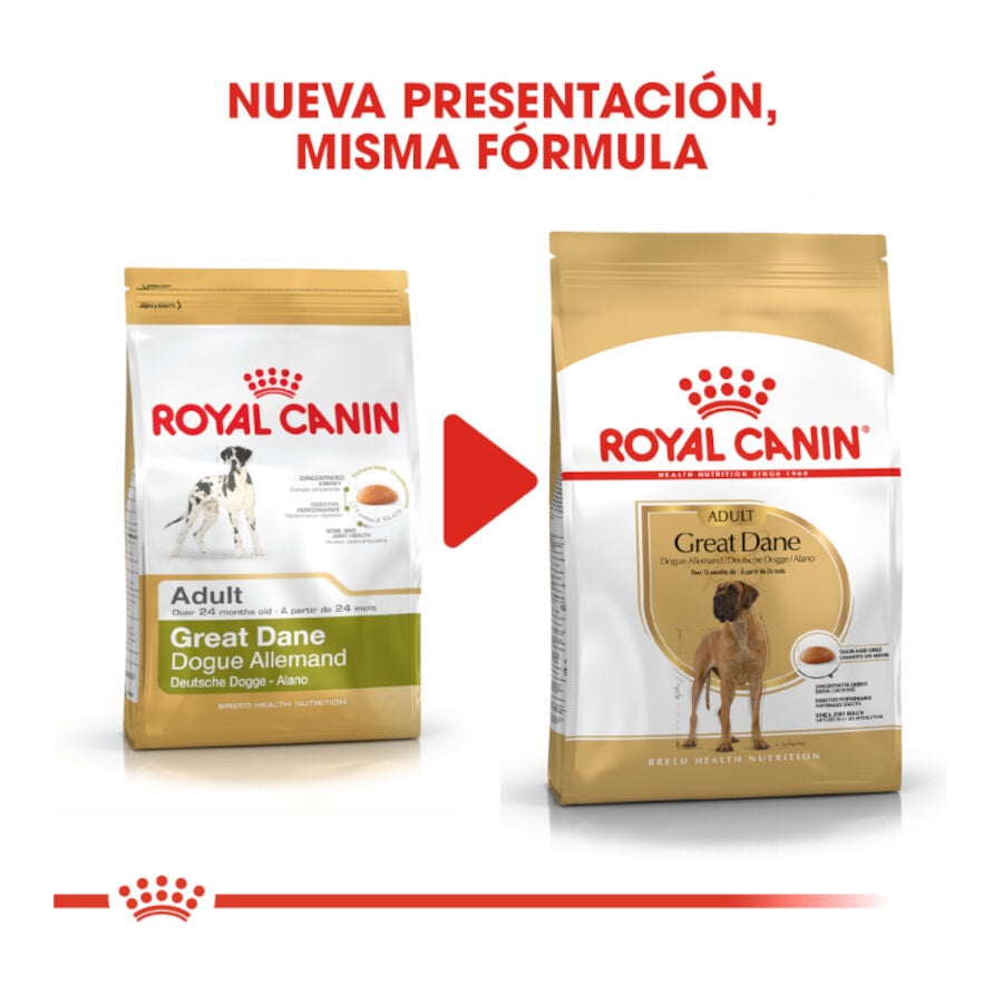 12 kg Royal Canin Adult Great Dane pienso para perros, , large Imagen numero 3