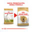 12 kg Royal Canin Adult Great Dane pienso para perros, , large indicador imagen numero 3