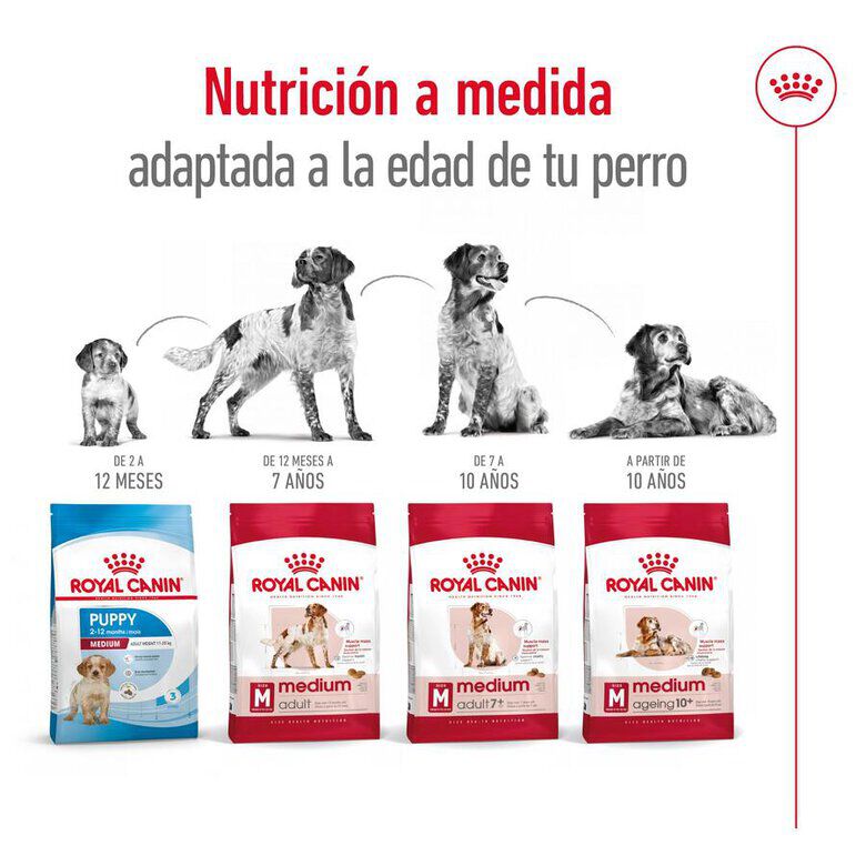 15 kg Royal Canin Medium 10+ Ageing pienso para perros, , large Imagen numero 9