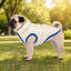 Goto Abrigo Reversible Acolchado para perros, , large indicador imagen numero 1