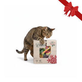 Wonder Christmas Caja de Juguetes Sorpresa Navideños para gatos,  Wonder Christmas Caja de Juguetes Sorpresa Navideños para gatos