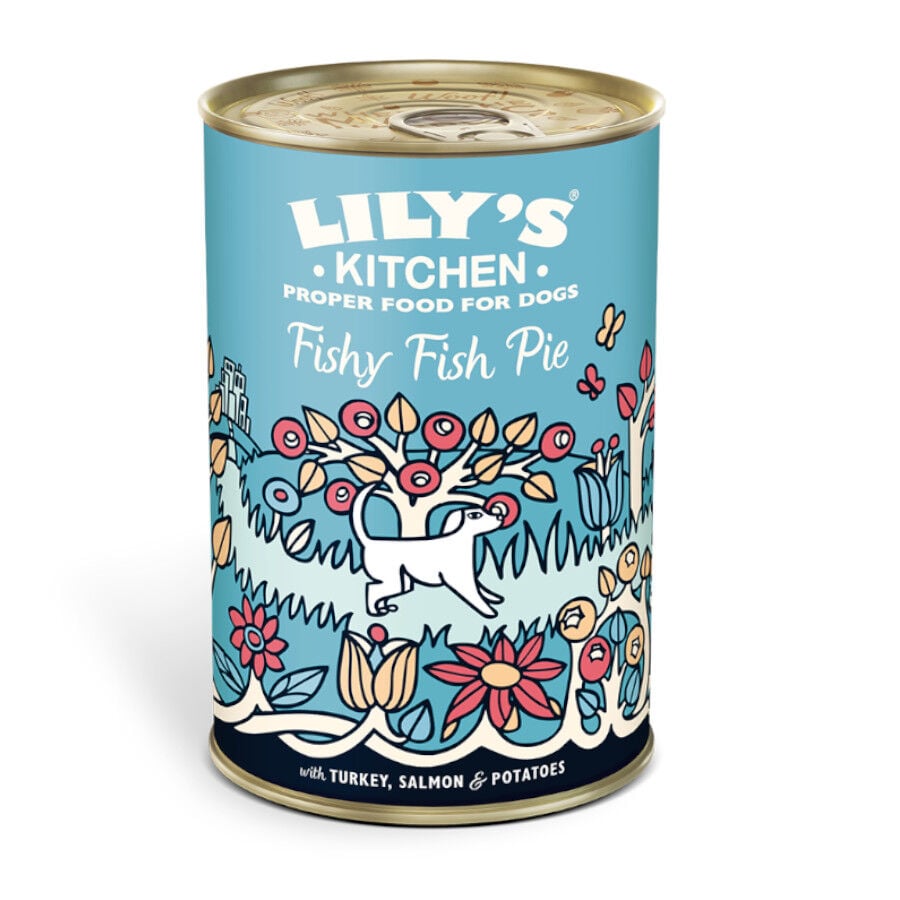 400 g Lily's Kitchen Salm&oacute;n y Arenque lata para perros, , large Imagen numero 1