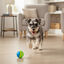 Tootoy! Pelota de Goma con Texturas para perros, , large indicador imagen numero 1