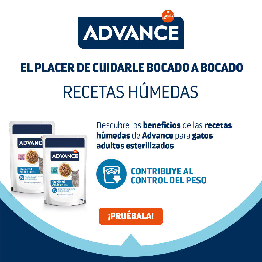 Advance Sterilized Adult Bacalao sobres para gatos thumbnail