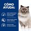 2 x 3 kg Hill's Prescription Diet Weight Loss Pollo pienso r/d para gatos ¡Pack ahorro!, , large indicador imagen numero 4