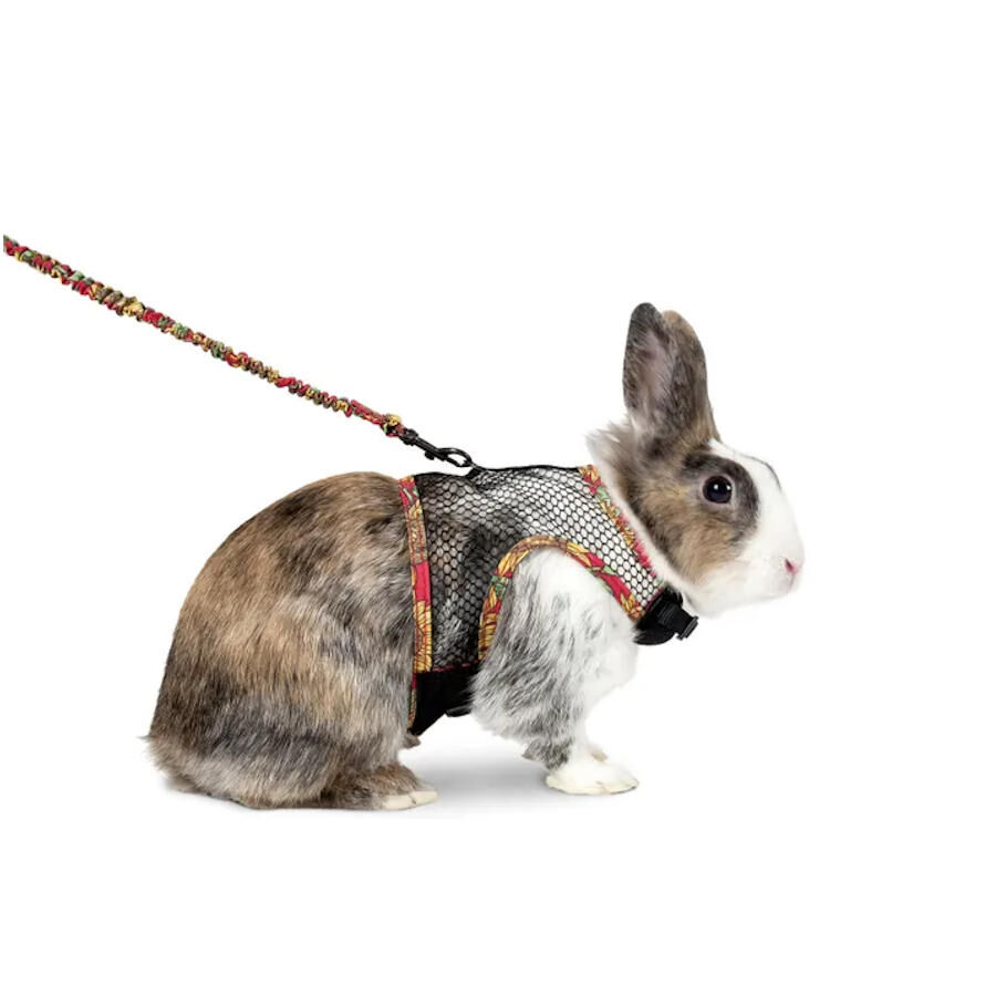 Flamingo Art Joy Arn&eacute;s con Correa para hurones, cobayas y conejos, , large Imagen numero 1