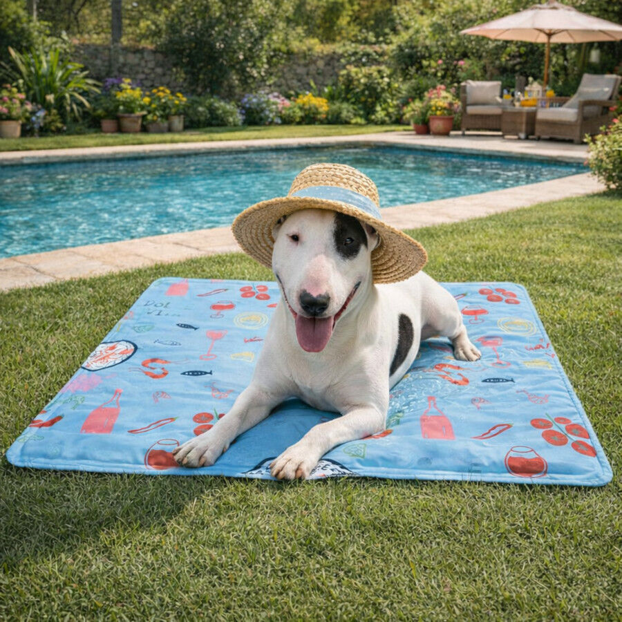 Summer Vibes Manta Refrescante Dolce Vita para perros, , large Imagen numero 1