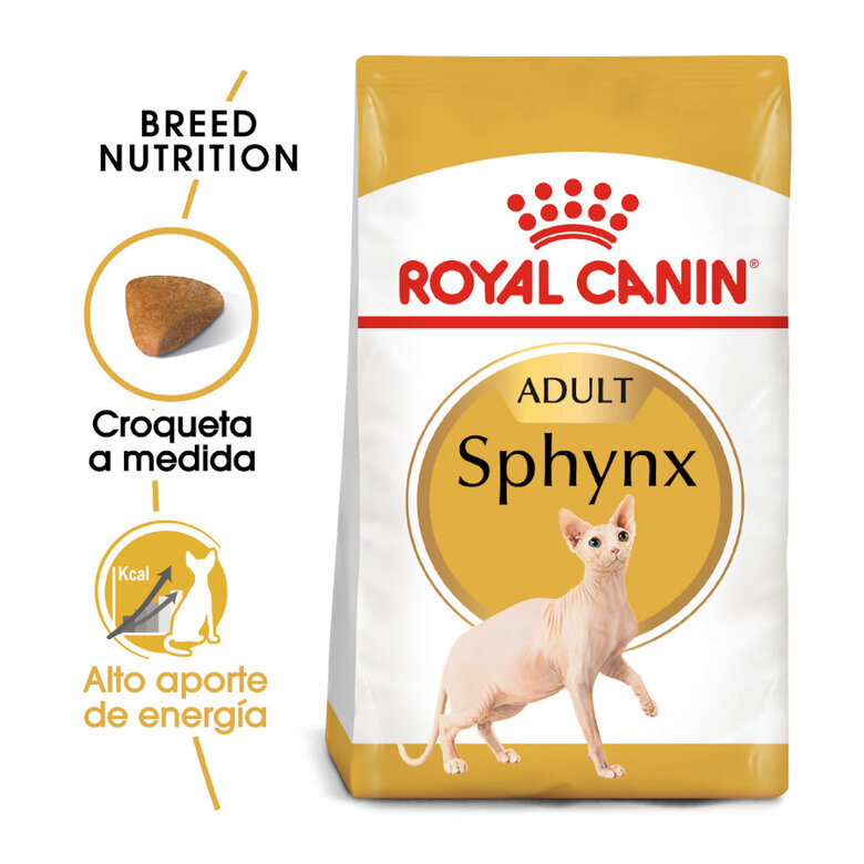 Royal Canin Adult Sphynx pienso para gatos, , large image number null