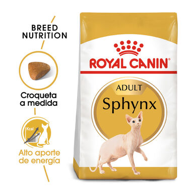 Royal Canin Adult Sphynx pienso para gatos