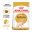 10 kg Royal Canin Adult Sphynx pienso para gatos, , large indicador imagen numero 2