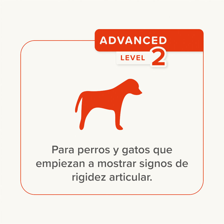 250 g Beaphar Pasta Flexifit para perros y gatos, , large Imagen numero 6