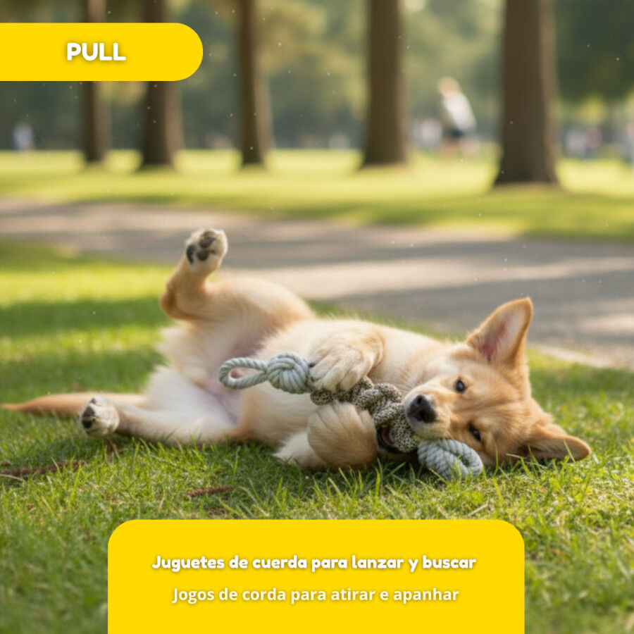 Tootoy! Mordedor de Cuerda con Nudos para perros thumbnail