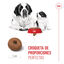 Royal Canin Starter Puppy Giant Pienso para perros, , large indicador imagen numero 5