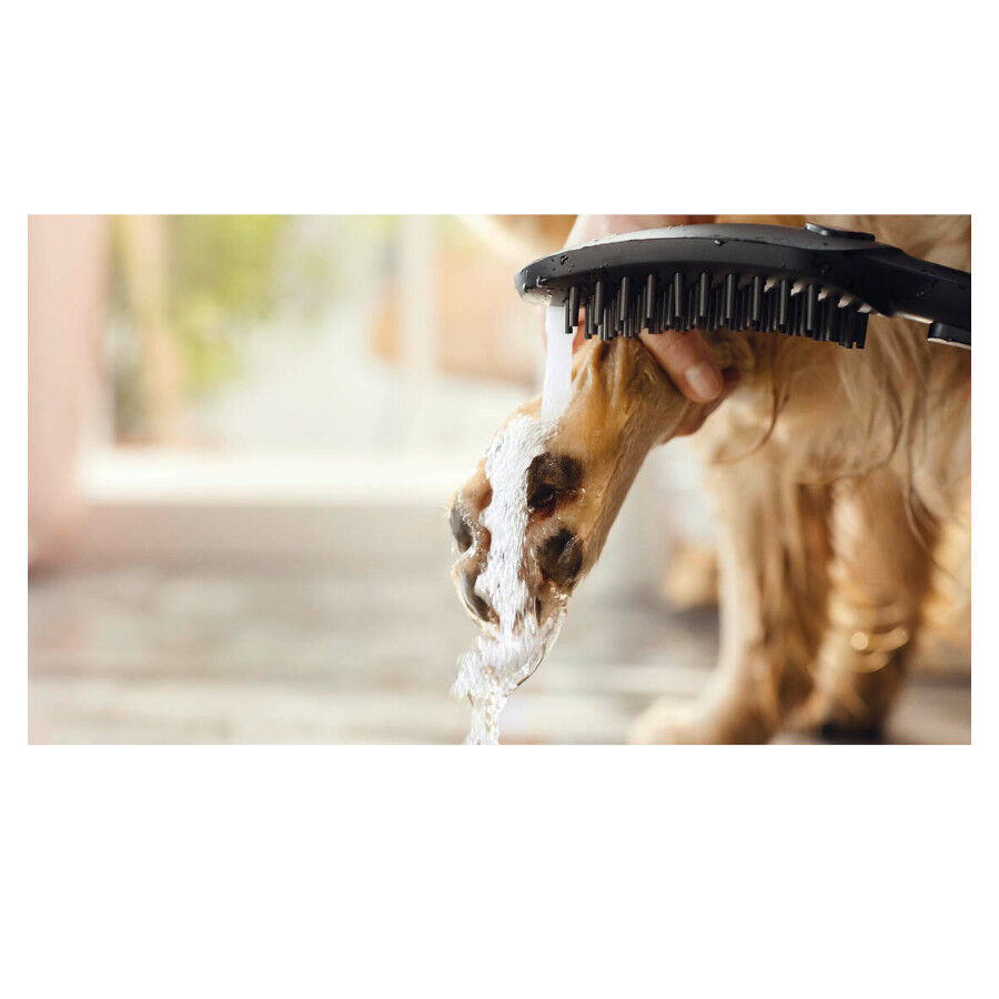 Hansgrohe Alcachofa de Ducha Negra para perros thumbnail