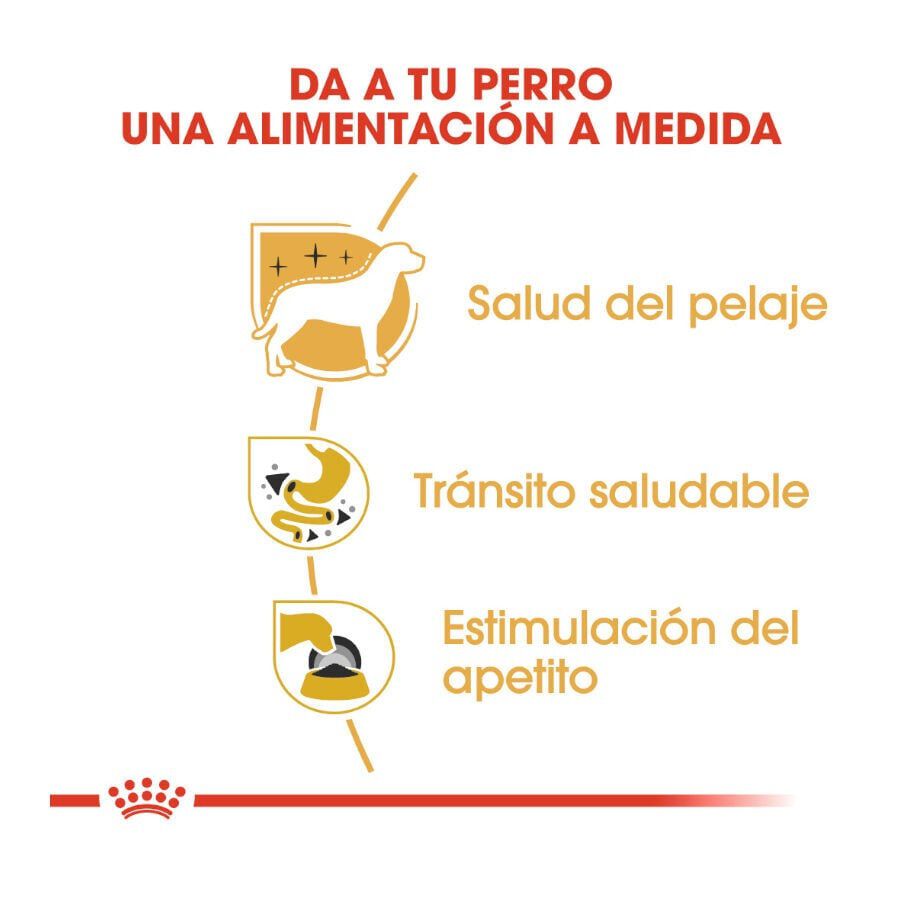 Royal Canin Adult Chihuahua paté en sobre para perros thumbnail