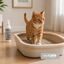 Nice Care Spray Antiamon&iacute;aco Bandeja para gatos, , large indicador imagen numero 2