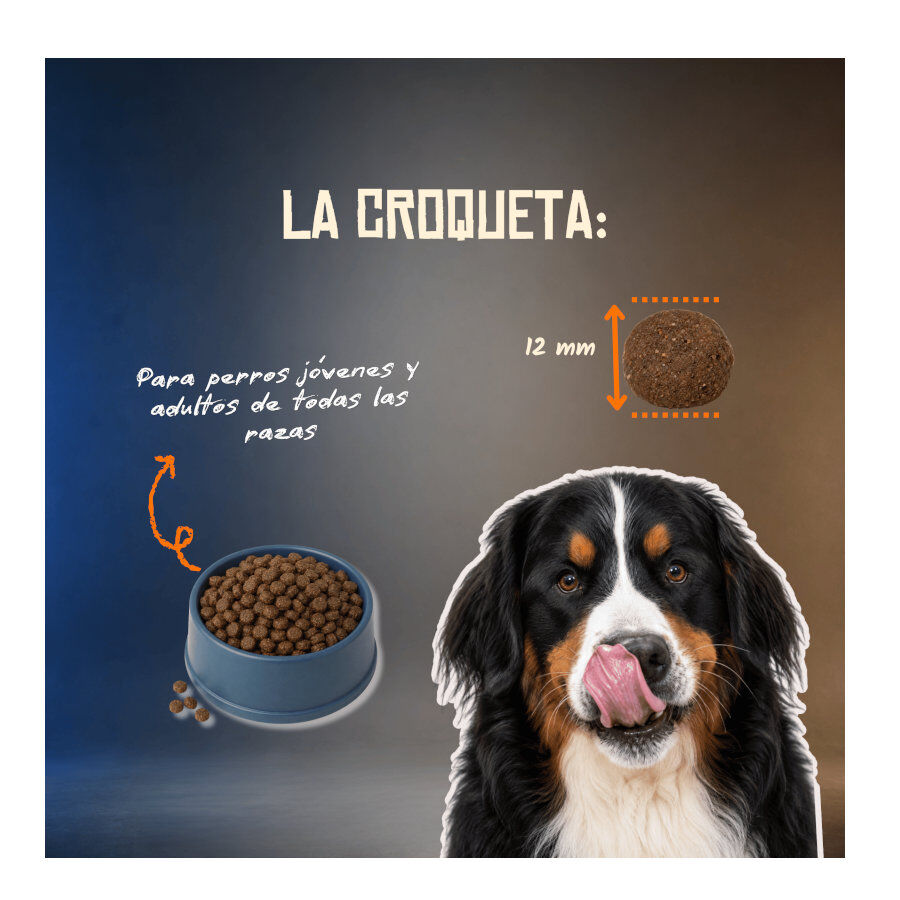 10 kg Lenda Grain Free Pavo y Pato pienso para perros, , large Imagen numero 5