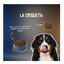 10 kg Lenda Grain Free Pavo y Pato pienso para perros, , large indicador imagen numero 5