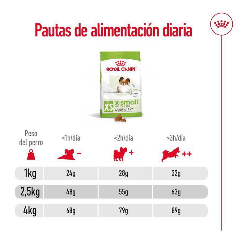Royal Canin X-Small Ageing 12+ Adult pienso para perros thumbnail