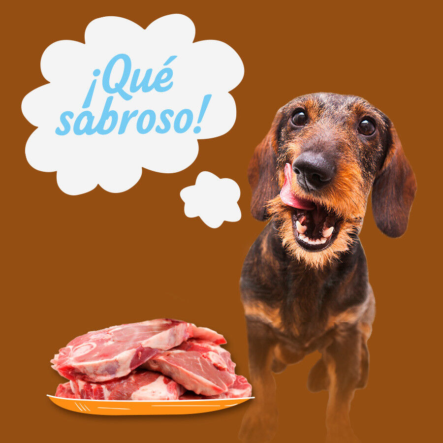 6 latas x 400 g Start! Adult Pollo, Ternera y Cordero en Gelatina lata para perros, , large Imagen numero 4