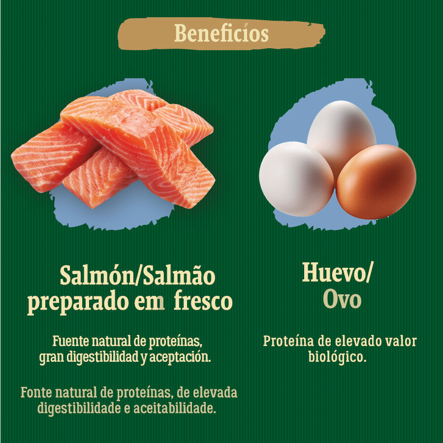 True Origins Wild Adult Pacific Salmón pienso para perros thumbnail