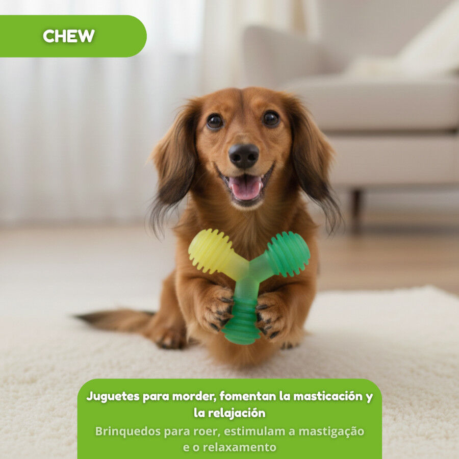 Tootoy! Mordedor de Pelotas en Tri&aacute;ngulo Verde para perros, , large Imagen numero 5