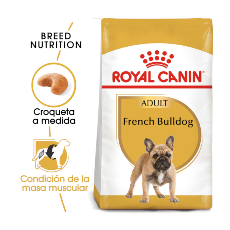 Royal Canin French Bulldog Adult pienso para perros thumbnail