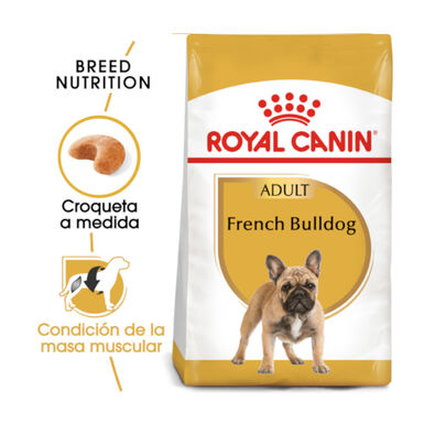 Royal Canin French Bulldog Adult pienso para perros