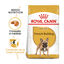 9 kg Royal Canin French Bulldog Adult pienso para perros, , large indicador imagen numero 2