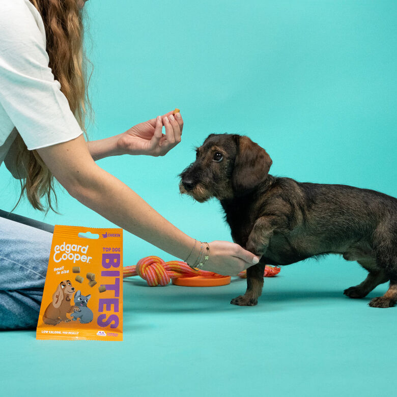 Edgard &amp; Cooper Bocaditos Mini de Manzana snack para perros thumbnail