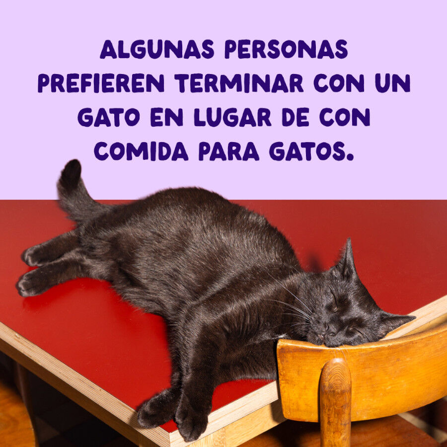 70 g Edgard & Cooper Filetes de Salm&oacute;n y At&uacute;n Lata para gatos, , large Imagen numero 9