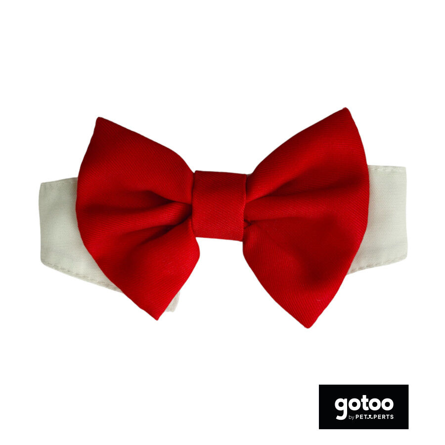 Gotoo Pajarita roja para perros, , large Imagen numero 2