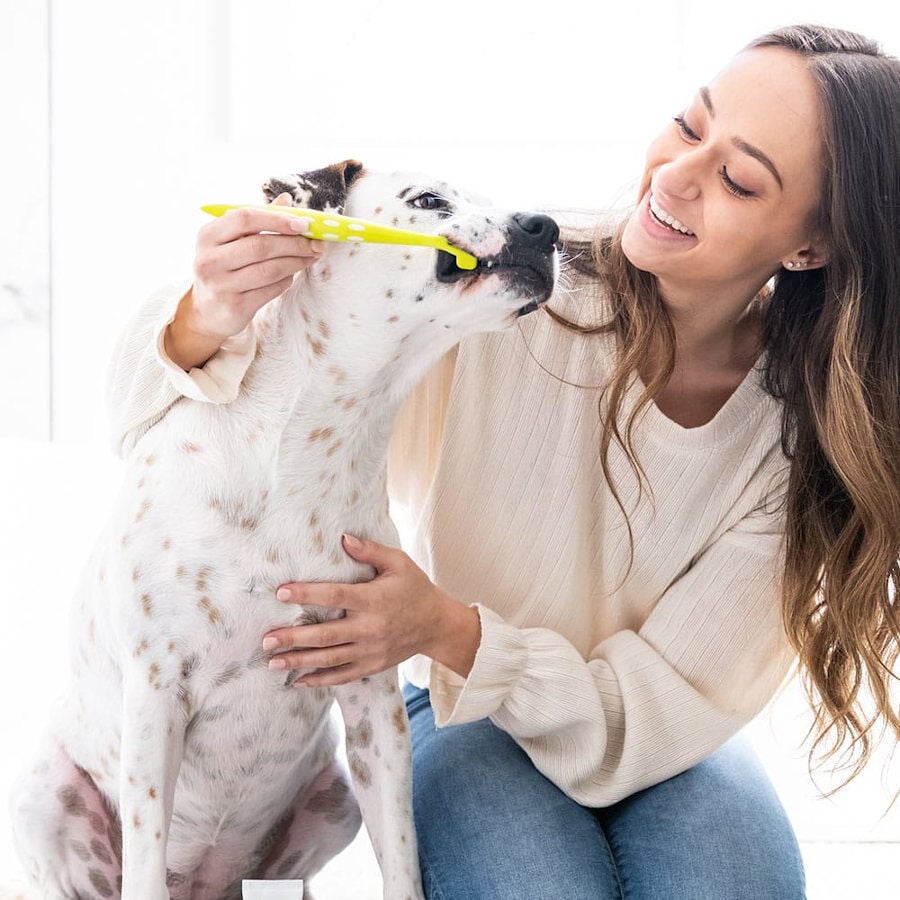 Petosan Kit de Limpieza Dental para perros medianos thumbnail