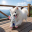 Summer Vibes Elefante Dolce Vita  Peluche para perros, , large indicador imagen numero 1