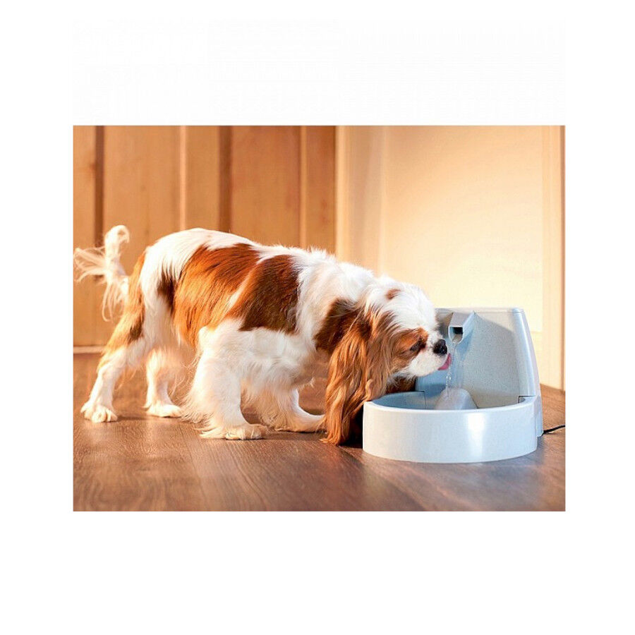 Drinkwell Bebedero Fuente para perros y gatos, , large Imagen numero 3