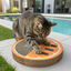 Summer Vibes Rascador Naranja Cart&oacute;n para gatos, , large indicador imagen numero 1