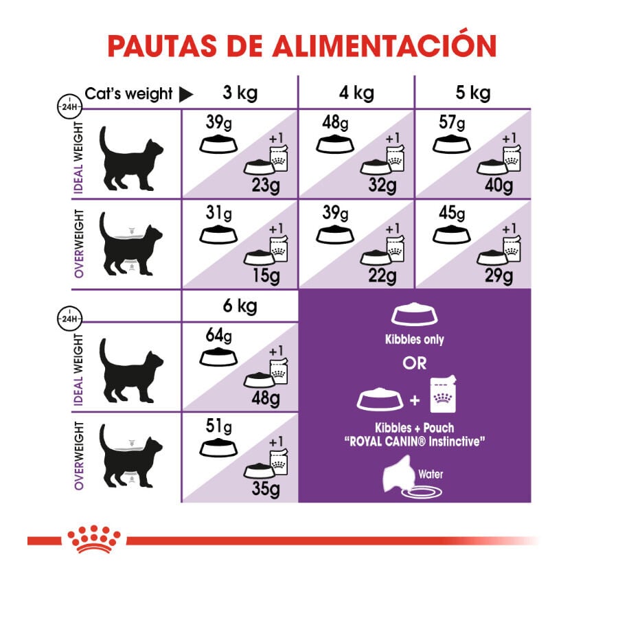 Royal Canin Regular Sensible 33 pienso para gatos thumbnail