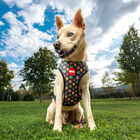 Disney Premium Marvel Arnés reversible para perros, , large image number null