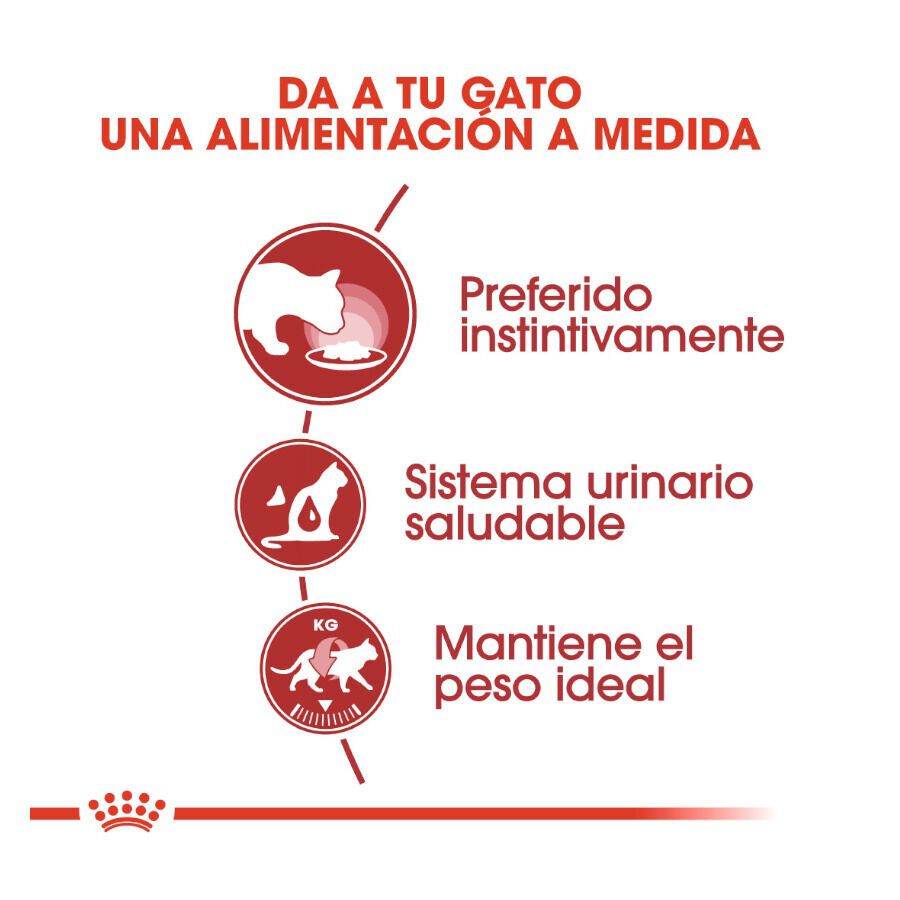 Royal Canin Instinctive gelatina sobres para gatos thumbnail