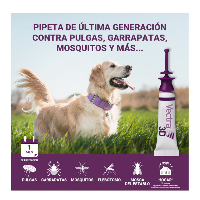 Vectra 3D Pipetas Antiparasitarias para perros thumbnail