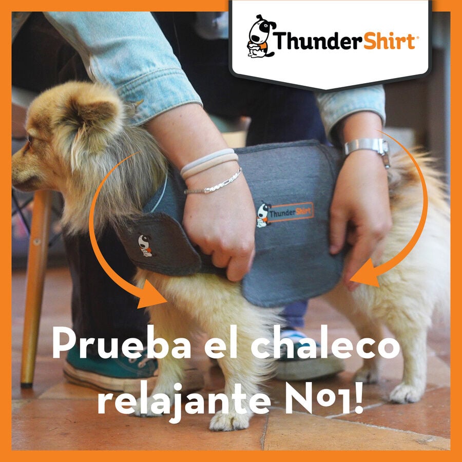 Thundershirt Camiseta Antiestr&eacute;s Relajante para perros, , large Imagen numero 6