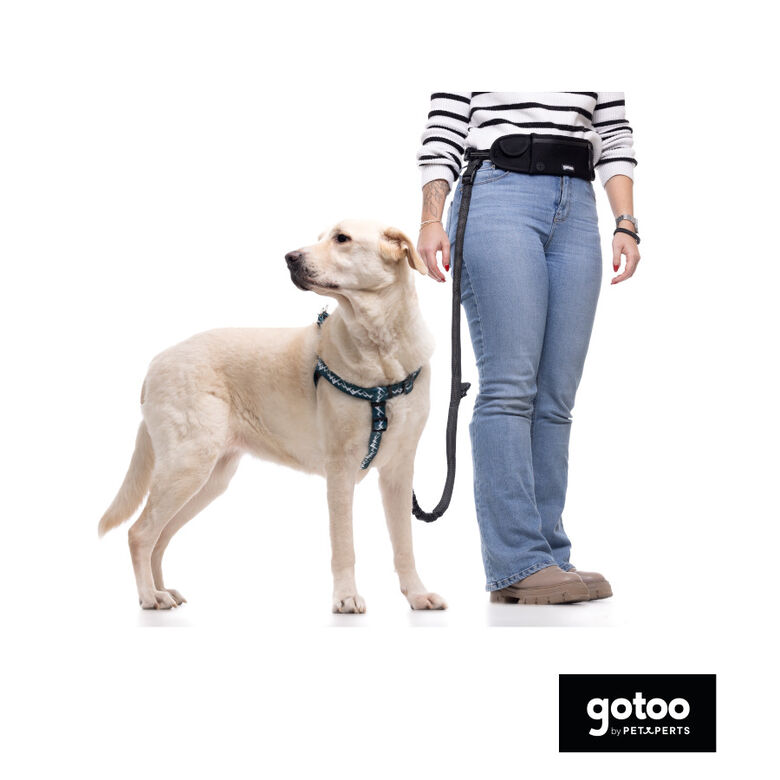 Gotoo Arnés estampado verde para perros thumbnail