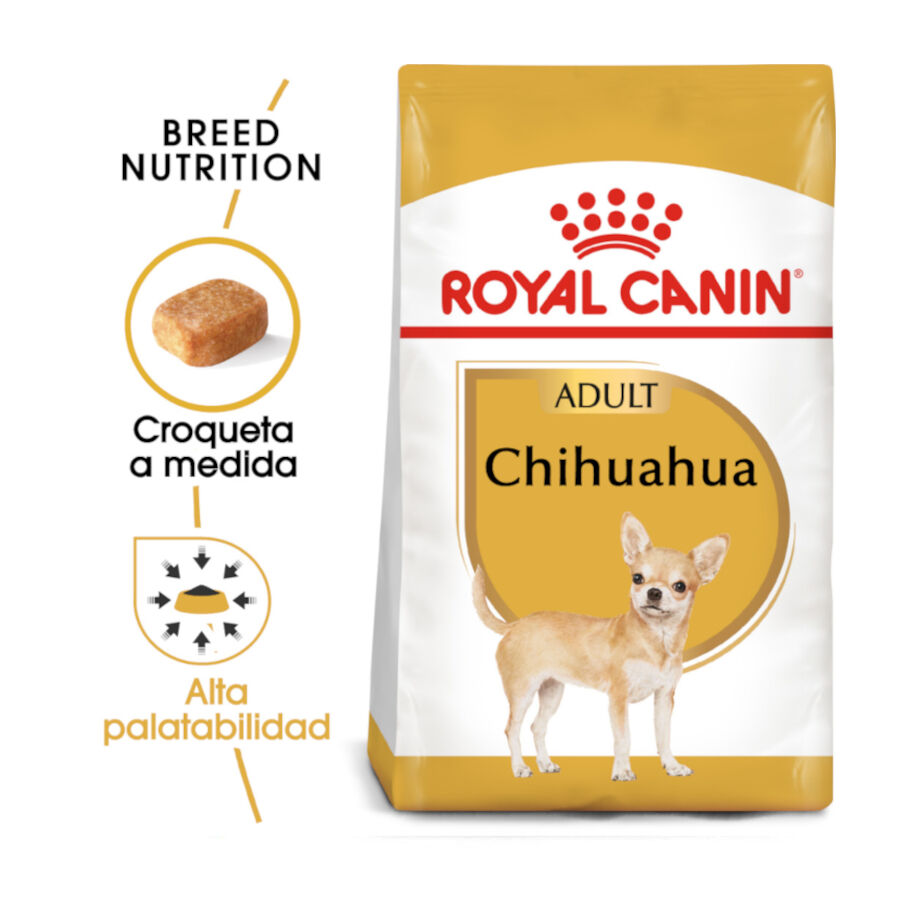 Royal Canin Adult Chihuahua pienso para perros thumbnail
