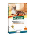 Advantage pipetas antiparasitarias para gatos , , large image number null