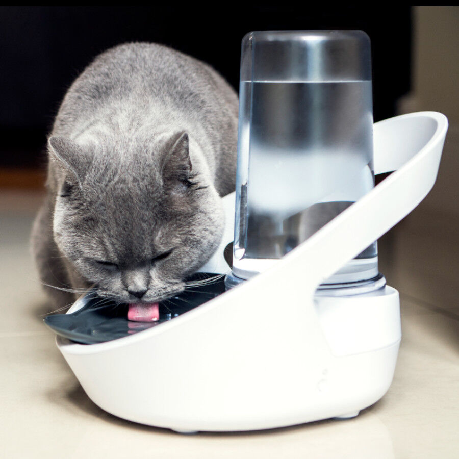 Sure Petcare Felaqua Connect Bebedero Automático para gatos thumbnail