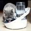 Sure Petcare Felaqua Connect Bebedero Automático para gatos indicador imagen numero 2