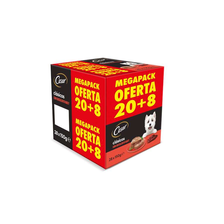 28 tarrinas x 150 g (20 + 8 tarrinas &iexcl;gratis!) Cesar Buey Tarrina en Pat&eacute; para Perros, , large Imagen numero 1